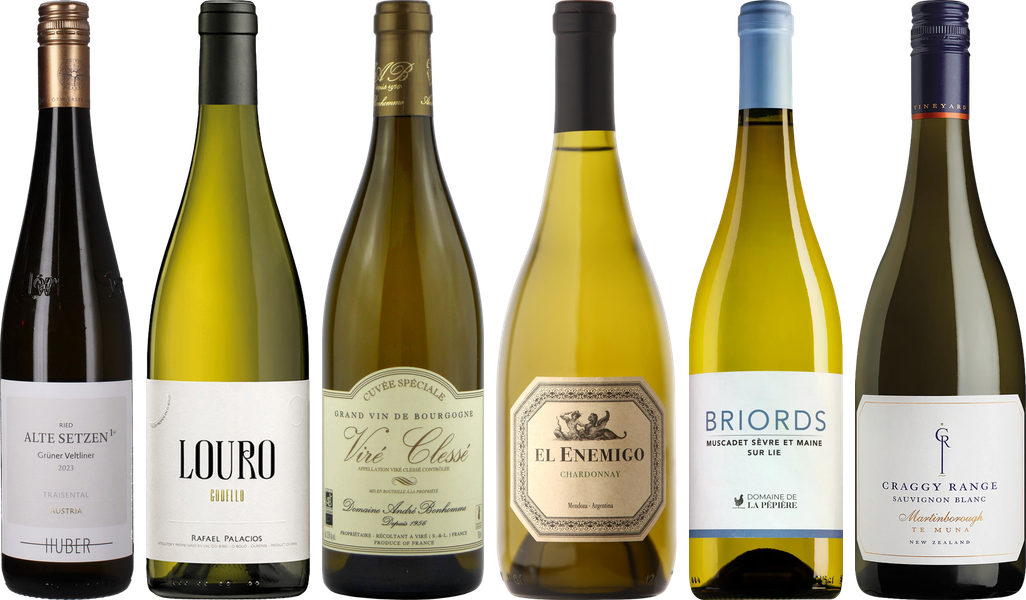 8Wines Staff Picks White Wine Tasting Case