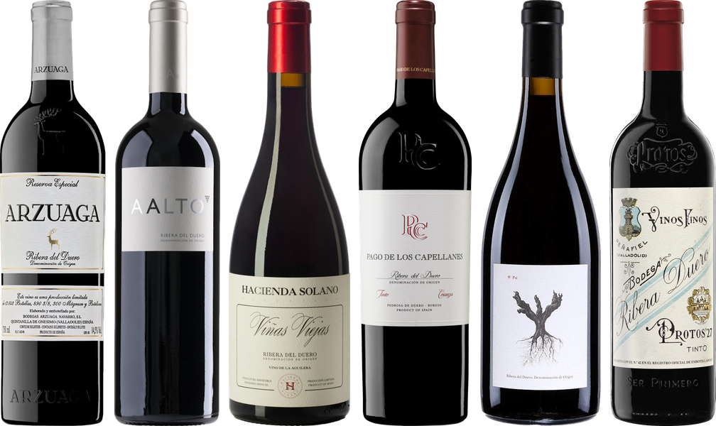 Ribera del Duero Premium Tasting Case
