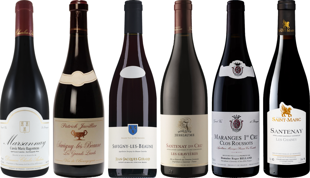 Red Burgundy Tasting Case