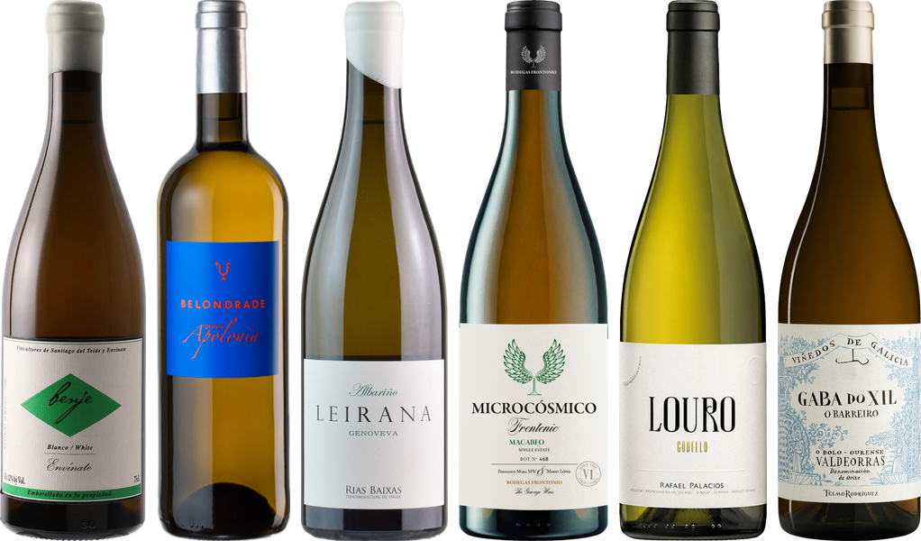 Spanish White Wine Premium Tasting Case
