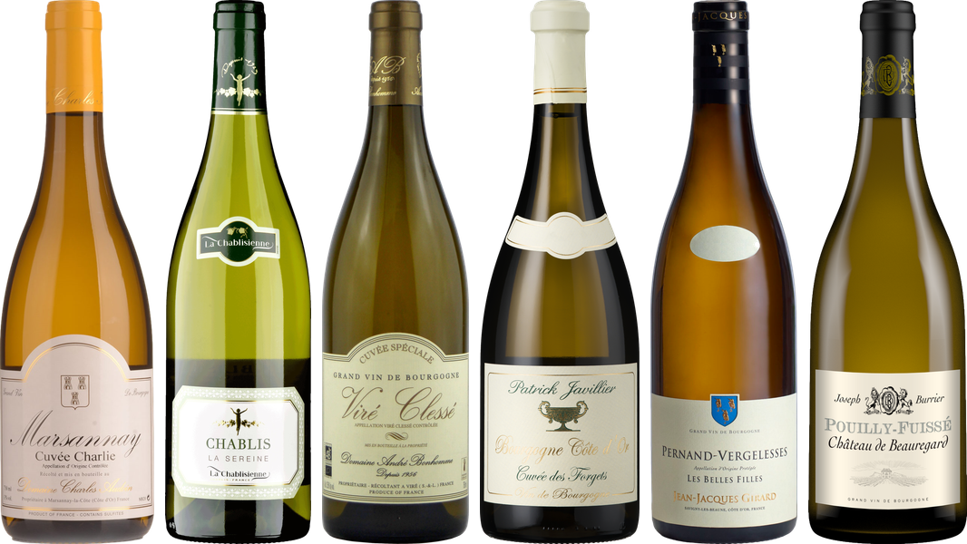 White Burgundy Tasting Case