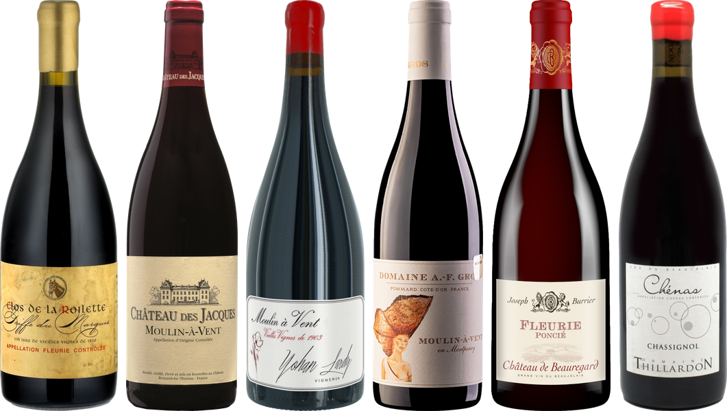 Beaujolais Premium Tasting Cas - Wine review and price