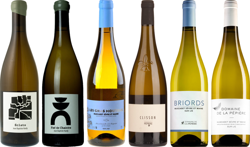 Muscadet Premium Tasting Case