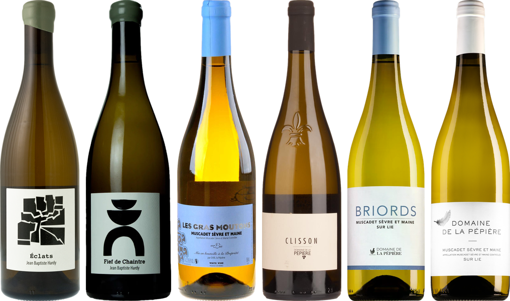 Coffret Dégustation Premium Muscadet