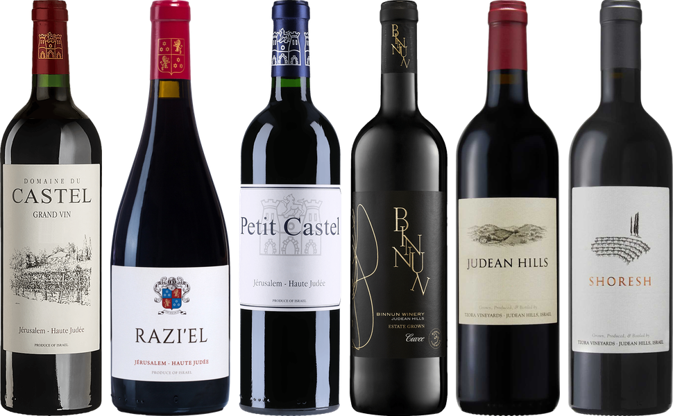Israel Red Wine Premium Tasting Case