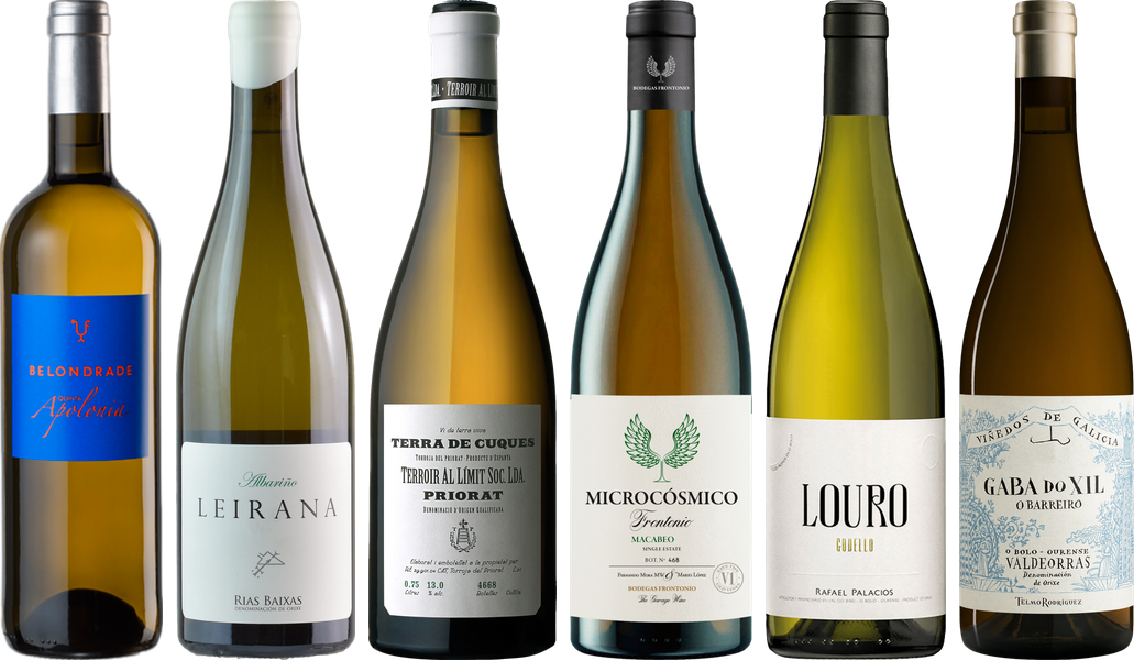 Spanish White Wine Premium Tasting Case