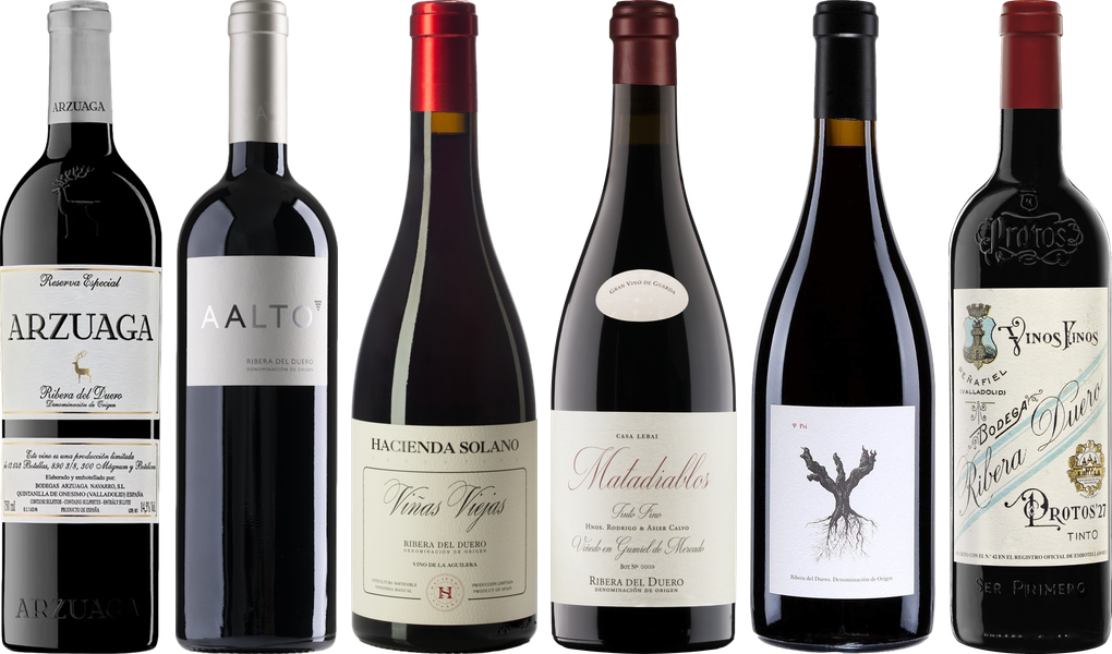 Ribera del Duero Premium Tasti - Wine review and price