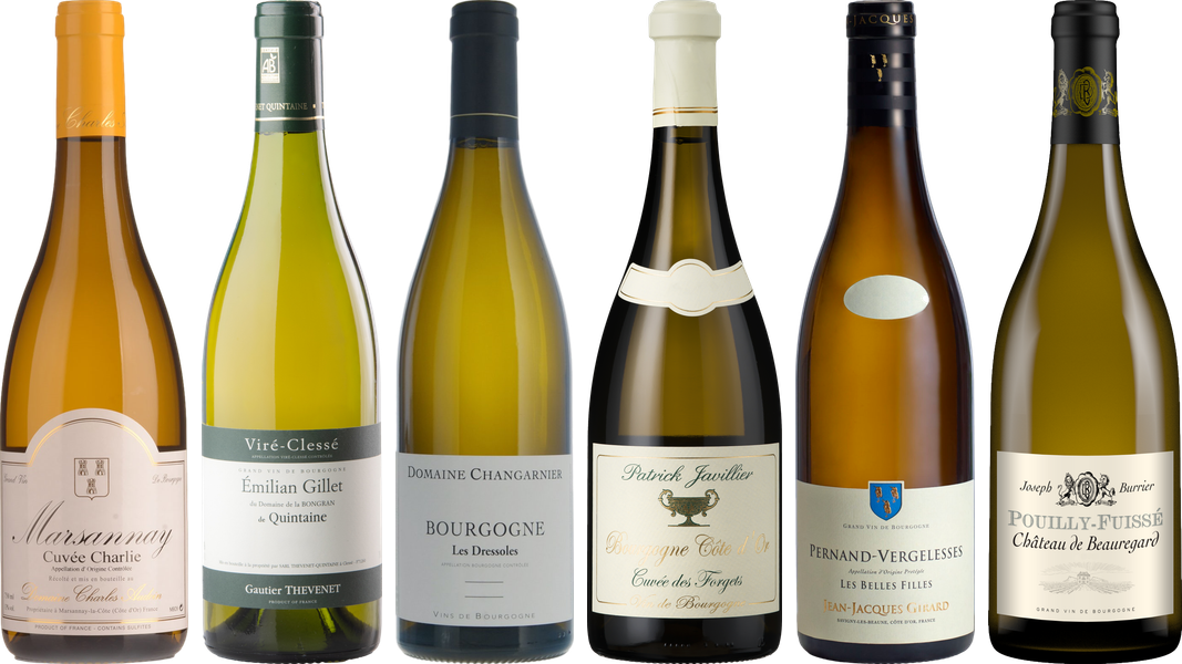 White Burgundy Tasting Case - Wine review and price