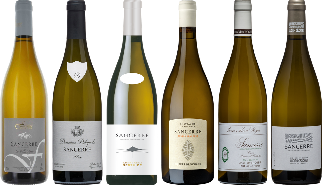 Sancerre Premium Tasting Case - Wine review and price