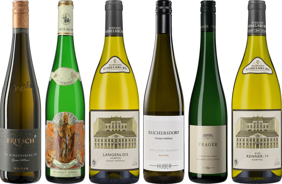 Gruner Veltliner Premium Tasti - Wine review and price