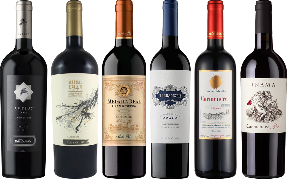 Coffret Dégustation Carmenere