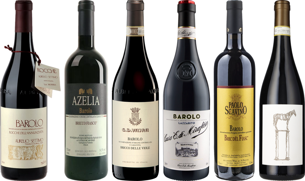 Barolo Premium Tasting Case - Wine review and price