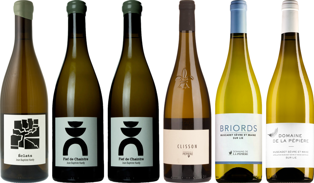 Coffret Dégustation Premium Muscadet