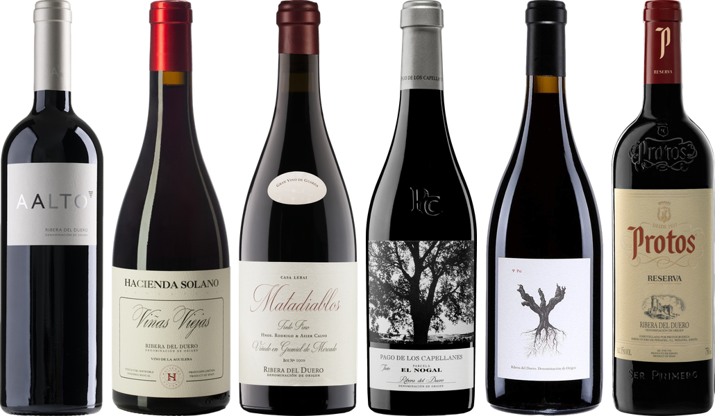 Ribera del Duero Premium Tasting Case