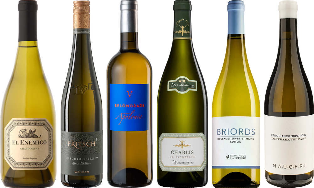 Coffret Dégustation 8Wines Sélection du Personnel de Vin Blanc