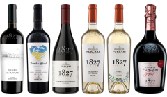 bundle-1789559115745.png