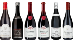 Marsannay Premium Tasting Case