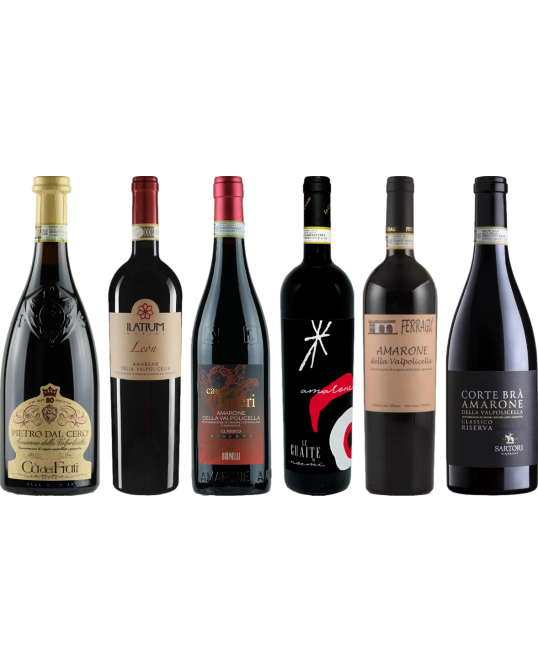 Amarone Premium Tasting Case