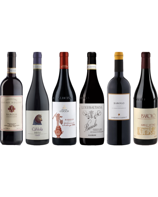 Barolo Top Value Tasting Case