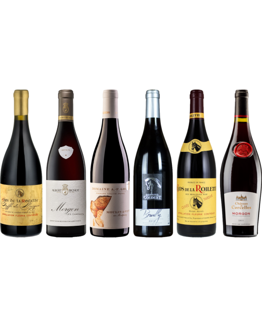 Beaujolais Premium Tasting Case