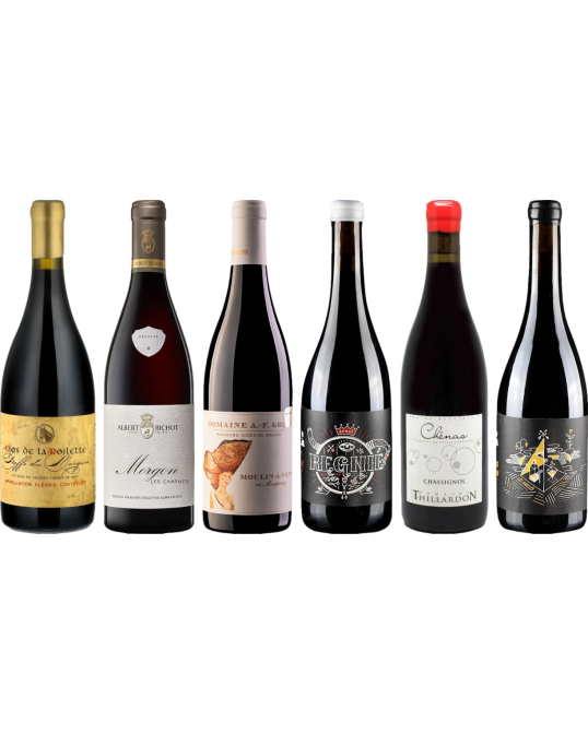 Beaujolais Premium Tasting Case