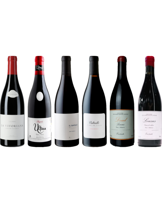 Bierzo and Galicia Mencia Premium Tasting Case