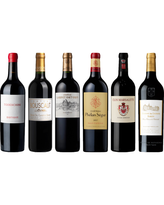 Bordeaux Red Tasting Case