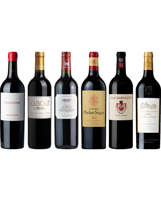 Bordeaux Red Tasting Case