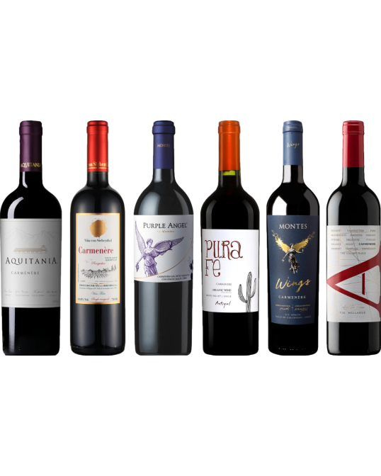 Carmenere Tasting Case