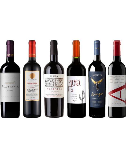 Carmenere Tasting Case