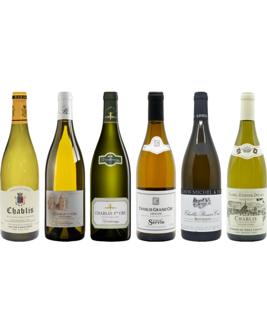 Chablis Tasting Case