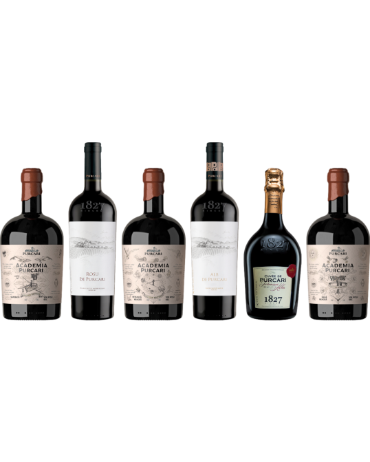 Chateau Purcari Premium Moldavian Wine Tasting Case