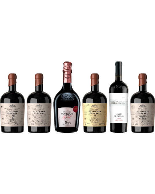 Chateau Purcari Premium Moldavian Wine Tasting Case