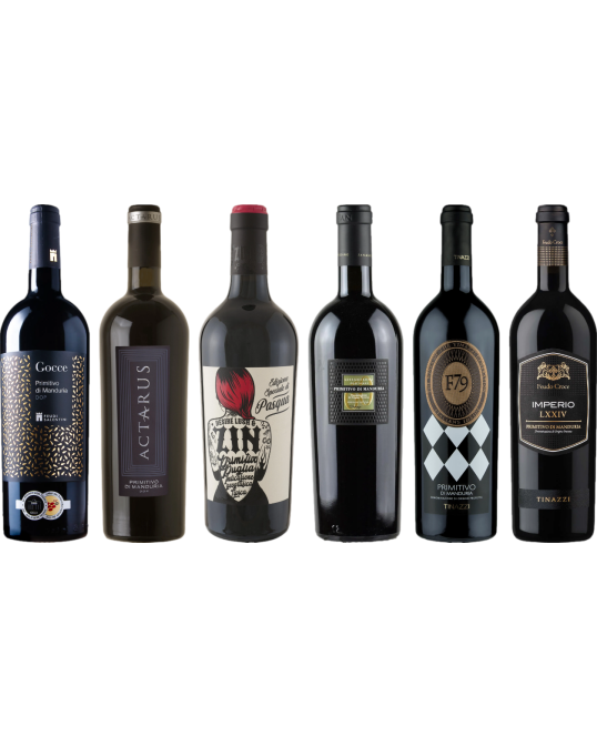 Primitivo Premium Tasting Case