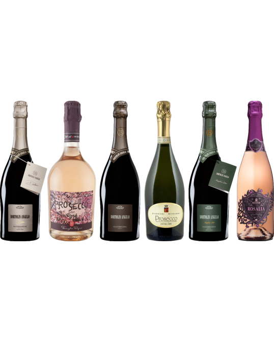 Prosecco Premium Tasting Case