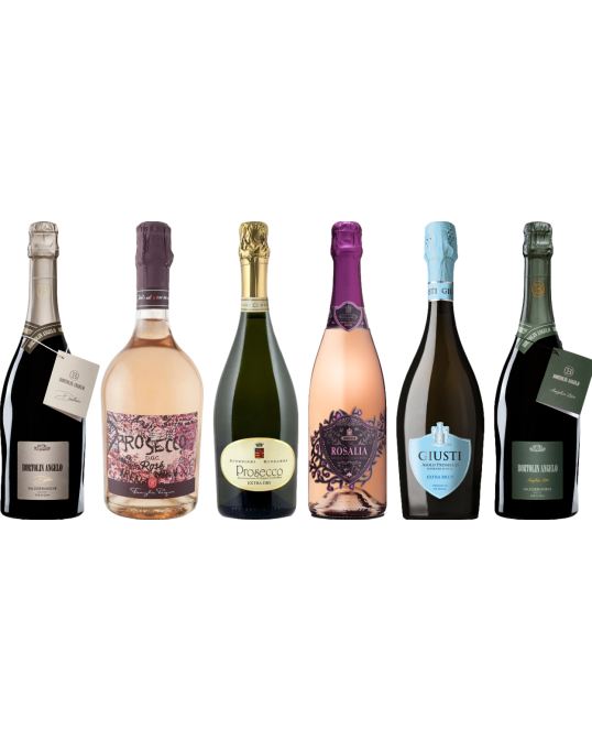 Prosecco Premium Tasting Case