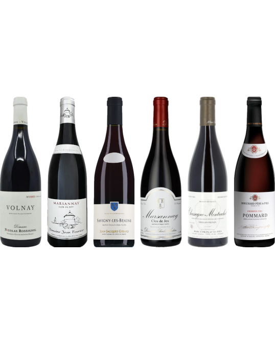 Red Burgundy Tasting Case