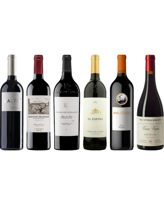 Ribera del Duero Premium Tasting Case