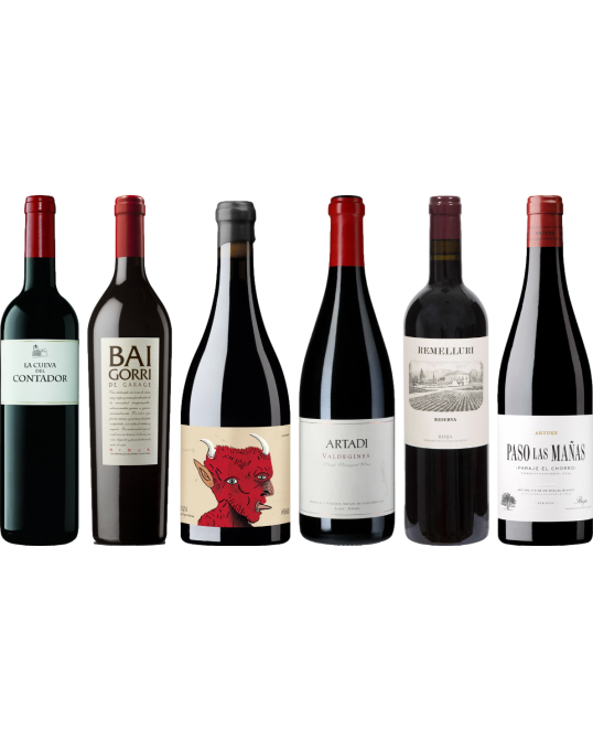 Rioja Premium Tasting Case