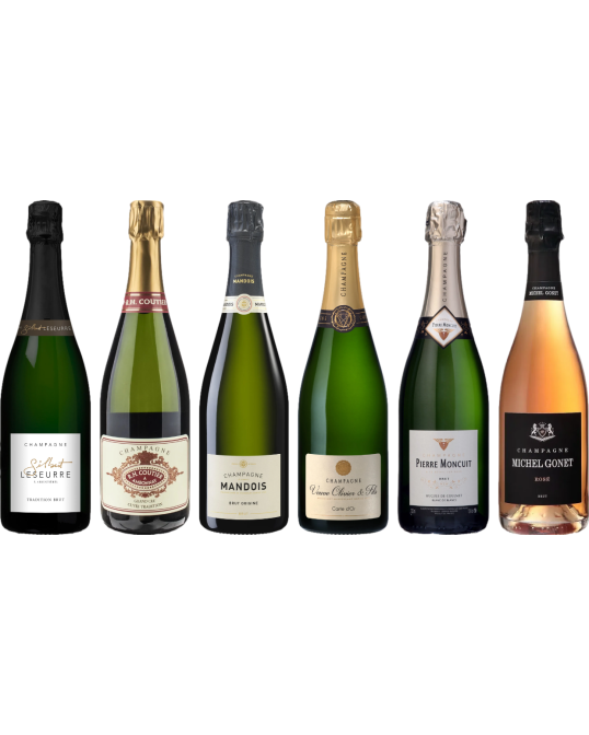 Top Value Champagne Tasting Case