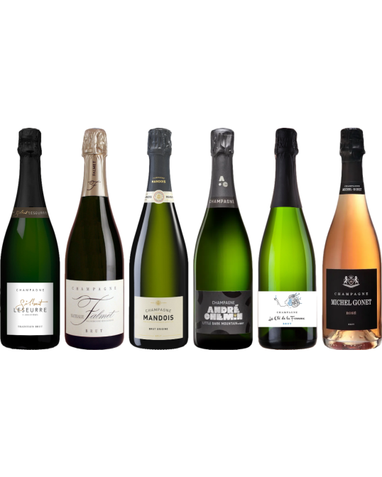 Top Value Champagne Tasting Case