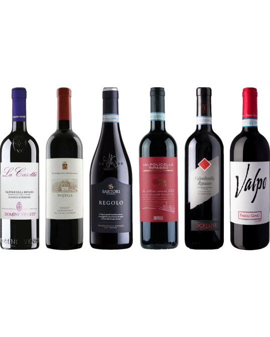 Valpolicella Ripasso Premium Tasting Case