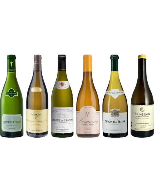 White Burgundy Tasting Case