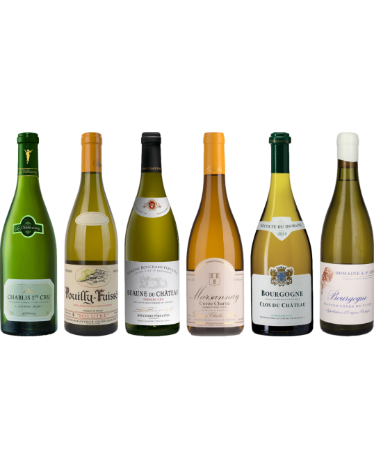 White Burgundy Tasting Case