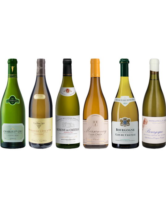 White Burgundy Tasting Case