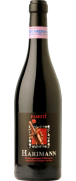 Pasetti Harimann Montepulciano d'Abruzzo 2012 (Out of Stock)