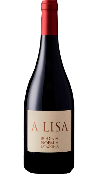 Bottle of Bodega Noemia A Lisa 2018 wine 750 ml