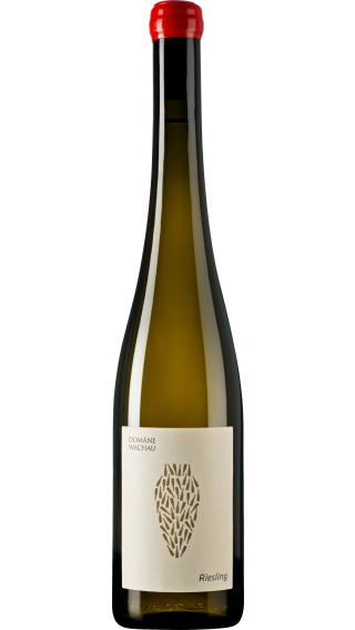 Bottle of Domane Wachau Riesling Amphora 2021 wine 750 ml