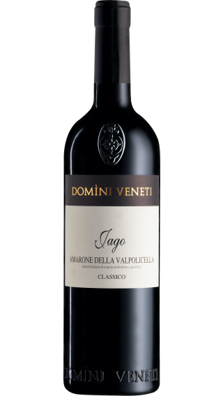 Bottle of Domini Veneti Vigneti di Jago Amarone della Valpolicella Classico 2016 wine 750 ml