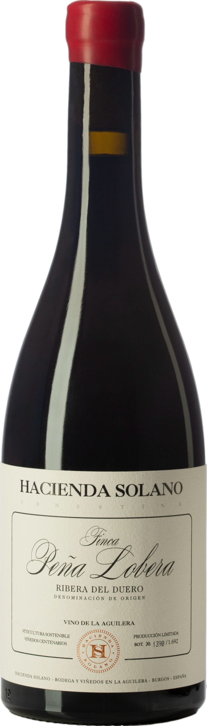 Hacienda Solano Finca Pena Lobera 2019 | 8Wines EU/UK